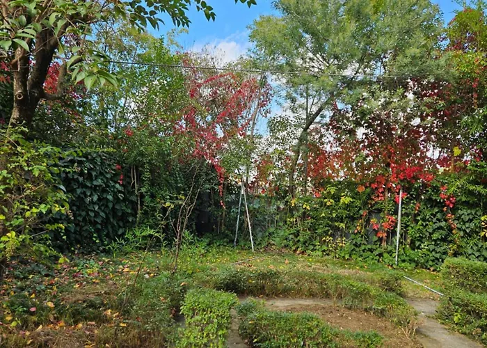 Golden Flower ホテル ティラナ