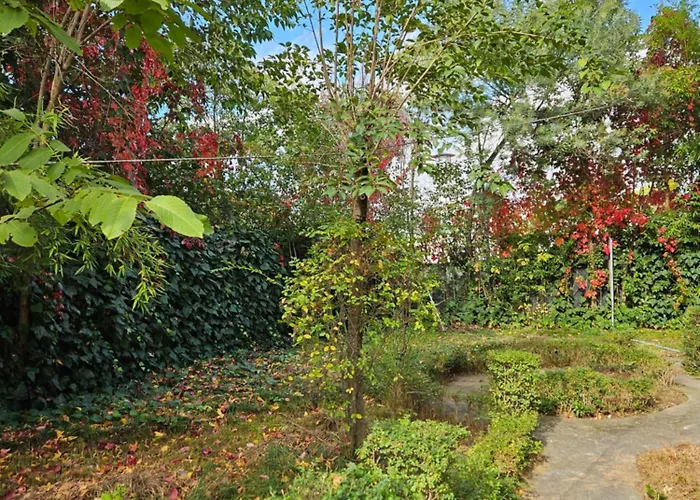 ホテル Golden Flower 3*